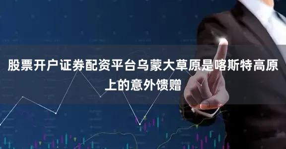 股票开户证券配资平台乌蒙大草原是喀斯特高原上的意外馈赠