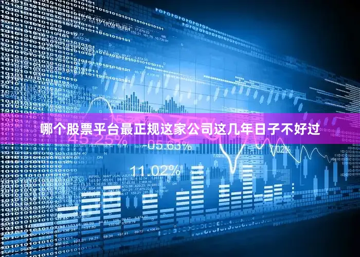哪个股票平台最正规这家公司这几年日子不好过